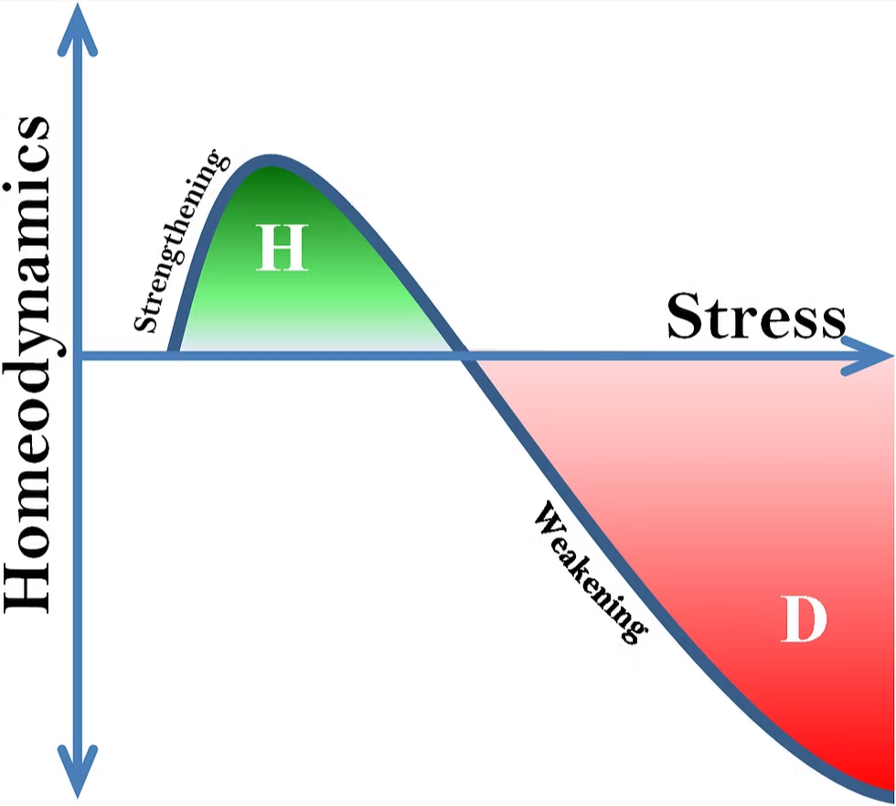 The Power of Stress
